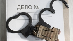 МВД раскрыло схему легализации 229 млн, похищенных главой ТФОМС Ставрополья