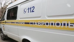 Спасатели достали погибших рабочих из канализационного колодца в селе Курсавка
