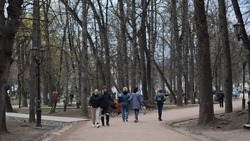 Жителям Кисловодска предлагают высаживать деревья в честь памятных или семейных дат