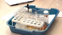Школьники из Манычского вырастили микрозелень без использования почвы