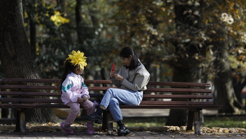 Соцфонд выплатил остаток маткапитала 652 семьям в Ставропольском крае