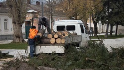 Ночной ураган повалил десятки деревьев в Ставрополе