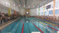 Первые соревнования по плаванию провели в новой школе Кисловодска 