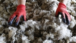 Несколько участников СВО со Ставрополья получили гранты на развитие агробизнеса