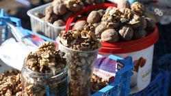 Около 700 гектаров орехов различных сортов выращивают на Ставрополье