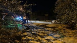 Водитель насмерть сбил в Михайловске пешехода и покинул место ДТП