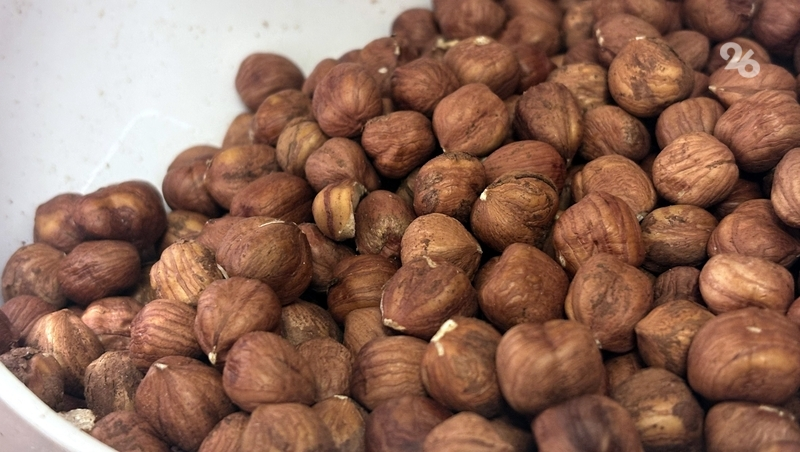 Садовод Предгорного округа собрал 350 тонн фундука