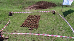 Останки неизвестного солдата и 73 мины времён ВОВ нашли в Степновском округе