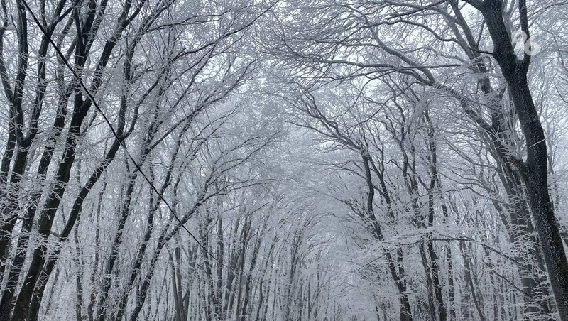 Три продолжительные магнитные бури ждут ставропольцев в январе