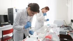 «Без науки не двинемся дальше»: что увидел новый глава минсельхоза Ставрополья в институте аграрной генетики и селекции