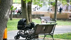 На Ставрополье 34 студенческих семьи получили выплаты после рождения ребёнка