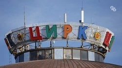 Жителям Краснодара пояснили, куда жаловаться на вонь цирка с буйволами и змеями 