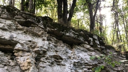 Парк площадью свыше 1,2 тыс. га проектируют в Железноводске