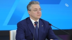 Глава Ставрополья поручил обновить минерализованные полосы до конца недели