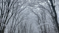 Три продолжительные магнитные бури ждут ставропольцев в январе