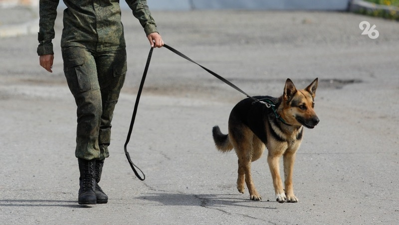 Оперативники проверяют школу №14 в Кисловодске из-за угрозы минирования
