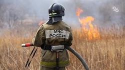 Сухая трава на площади в 500 кв. м загорелась на Ставрополье