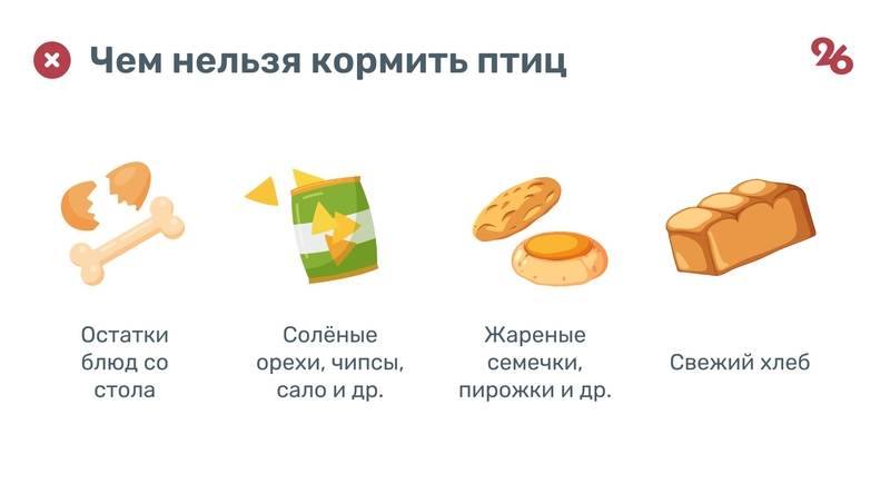 Что нельзя класть в кормушки птицам?