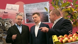 «Пример развития региональной экономики»: вице-премьер РФ Новак оценил социальные и промышленные объекты Ставрополья
