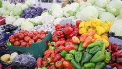 Две ярмарки выходного дня будут работать в Ставрополе 26 июля