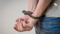 Жителю Кочубеевского округа дали полгода принудительных работ за сокрытие убийства