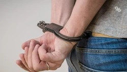 В Ставрополе взяли под стражу главу деструктивной НКО