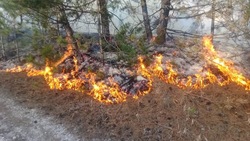 Лесной массив загорелся в Кисловодске