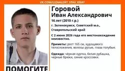 Подросток в чёрной куртке и синих кроссовках пропал на Ставрополье 