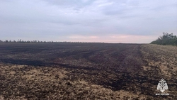 В селе Камбулат ликвидировали ландшафтный пожар на площади 71 га