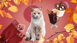 Пасмурно, но почти без осадков: какой будет осень-2023 на Ставрополье