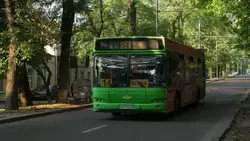 Пять маршрутов в Ставрополе станут магистральными