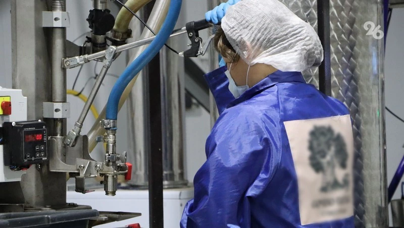 Основной прирост экспорта дают пищепром и переработка — губернатор Ставрополья