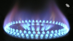 Свыше 900 тыс договоров на обслуживание газового оборудования перезаключат ставропольцы