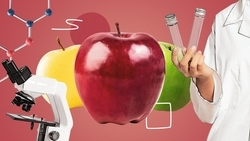 Яблоки и свёклу — в пюре: Роспотребнадзор Ставрополья показал, как исследует фрукты и овощи