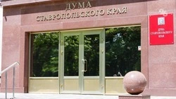 Инициативы Думы Ставропольского края приняли на федеральном уровне