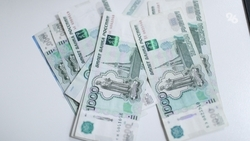 Ребёнку из Лермонтова компенсируют ущерб после нападения бездомной собаки