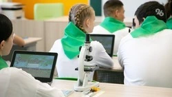 Власти Ставрополья перевыполнили планы в области образования в 2025 году