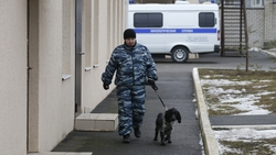 Угрозы минирования поступили в колледж и институт Будённовска