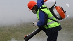 Табачный магазин загорелся в торговом центре Ставрополя  