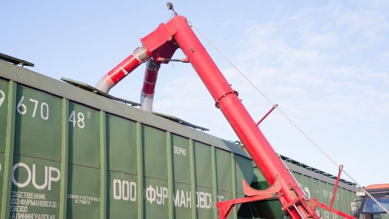 Ставрополье стало лидером по отгрузке зерна на железных дорогах