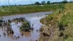 В двух посёлках Кировского округа действует режим повышенной готовности 