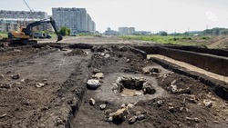 Количество чёрных копателей выросло на Ставрополье 