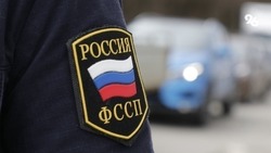 Ставропольчанка выплатила полмиллиона рублей алиментов ради автомобиля