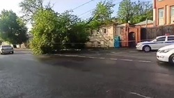 Упавшее из-за грозы дерево перекрыло часть дороги в Ставрополе