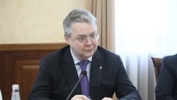 Губернатор Владимиров поблагодарил ставропольских волонтёров за активную работу