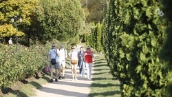 Ставрополье активно интегрируется в глобальные турпотоки — политолог Гращенков