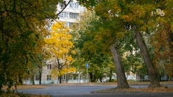 До +23 градусов ожидается на Ставрополье 8 октября