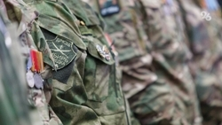 Ветераны СВО из других регионов могут получить выплаты за награды на Ставрополье