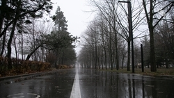 Дождливое окончание недели ожидает ставропольцев 