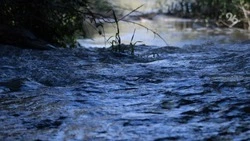 Вода поднялась в реке Калаус в Светлограде на 24 см 